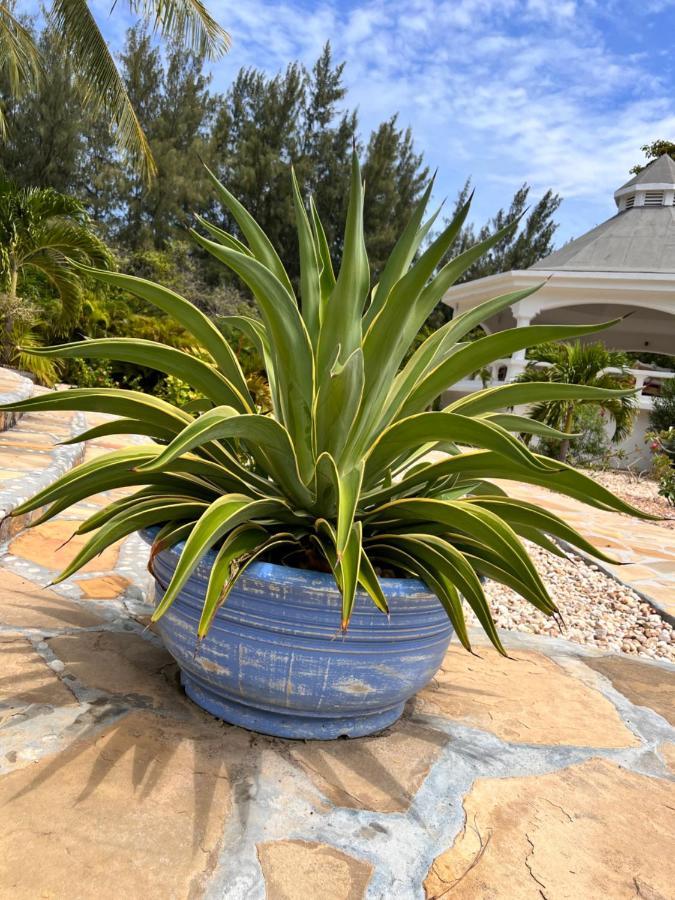 Bed and Breakfast Zumzum Beach House Kinondo Экстерьер фото